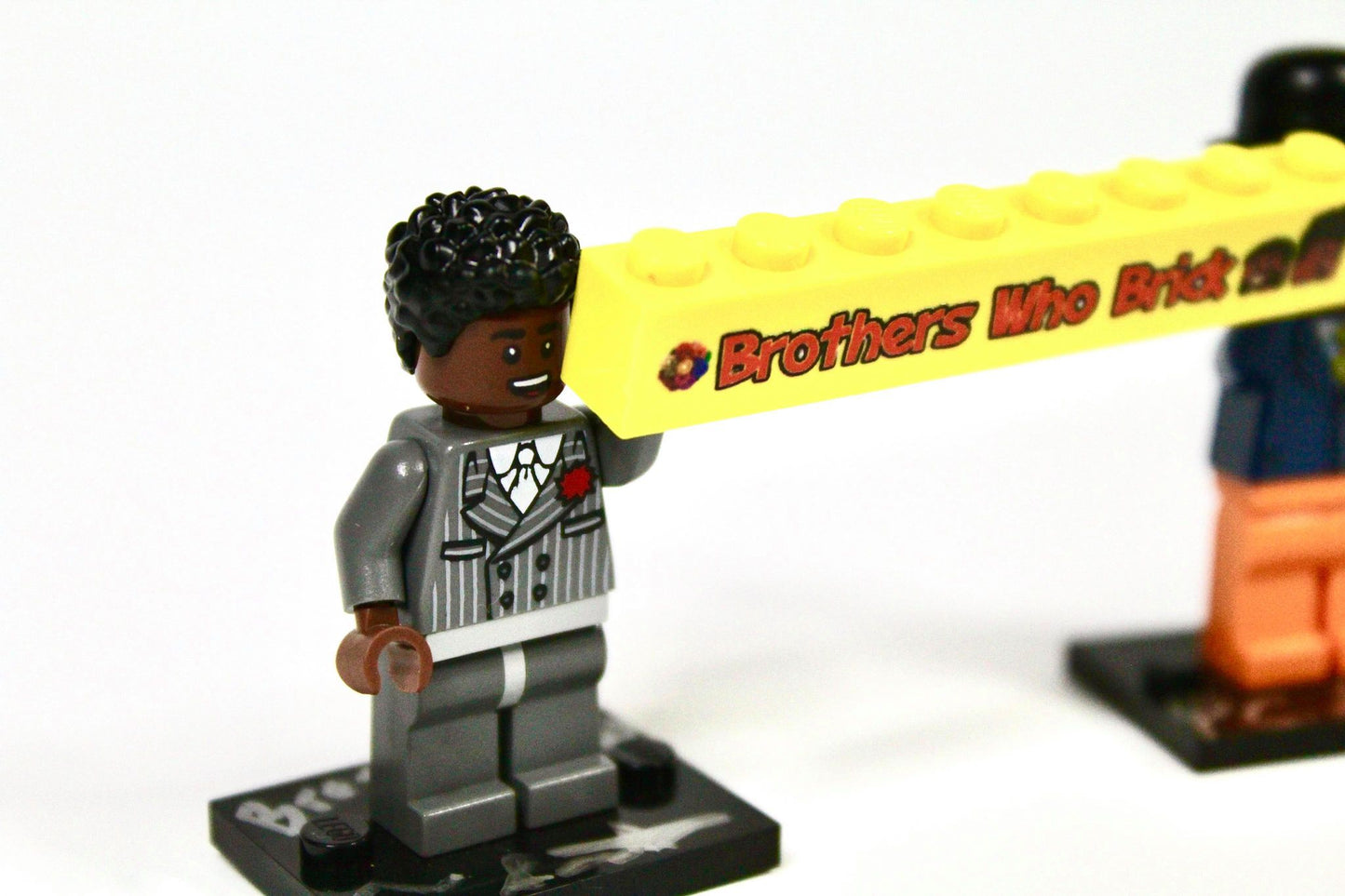 "Brothers Who Brick" Sig Figs Set